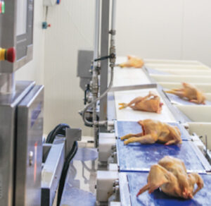 Product Sorting for Food Manufacturing: Checkweighing Solutions